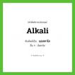 alkali เขียนเป็นคำไทยว่าอะไร?, คำศัพท์ภาษาอังกฤษ alkali ทับศัพท์เป็น แอลคาไล อื่น ๆ อัลคาไล