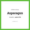asparagus เขียนเป็นคำไทยว่าอะไร?, คำศัพท์ภาษาอังกฤษ asparagus ทับศัพท์เป็น แอสพารากัส