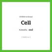 cell เขียนเป็นคำไทยว่าอะไร?, คำศัพท์ภาษาอังกฤษ cell ทับศัพท์เป็น เซลล์