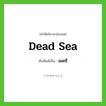 เดดซี ทับศัพท์มาจากคำไหน?, คำศัพท์ภาษาอังกฤษ เดดซี ทับศัพท์เป็น Dead Sea