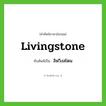 Livingstone เขียนเป็นคำไทยว่าอะไร?, คำศัพท์ภาษาอังกฤษ Livingstone ทับศัพท์เป็น ลิฟวิงสโตน