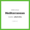 Mediterranean เขียนเป็นคำไทยว่าอะไร?, คำศัพท์ภาษาอังกฤษ Mediterranean ทับศัพท์เป็น เมดิเตอร์เรเนียน
