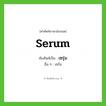 serum เขียนเป็นคำไทยว่าอะไร?, คำศัพท์ภาษาอังกฤษ serum ทับศัพท์เป็น เซรุ่ม อื่น ๆ เซรัม