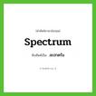 spectrum เขียนเป็นคำไทยว่าอะไร?, คำศัพท์ภาษาอังกฤษ spectrum ทับศัพท์เป็น สเปกตรัม