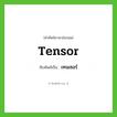 tensor เขียนเป็นคำไทยว่าอะไร?, คำศัพท์ภาษาอังกฤษ tensor ทับศัพท์เป็น เทนเซอร์