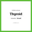ไทรอยด์ ทับศัพท์มาจากคำไหน?, คำศัพท์ภาษาอังกฤษ ไทรอยด์ ทับศัพท์เป็น thyroid