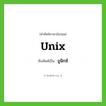 ยูนิกซ์ ทับศัพท์มาจากคำไหน?, คำศัพท์ภาษาอังกฤษ ยูนิกซ์ ทับศัพท์เป็น Unix