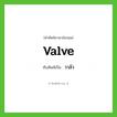 valve เขียนเป็นคำไทยว่าอะไร?, คำศัพท์ภาษาอังกฤษ valve ทับศัพท์เป็น วาล์ว