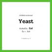 ยีสต์ ทับศัพท์มาจากคำไหน?, คำศัพท์ภาษาอังกฤษ ยีสต์ ทับศัพท์เป็น yeast อื่น ๆ ยีสท์