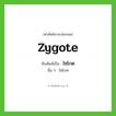 ไซโกต ทับศัพท์มาจากคำไหน?, คำศัพท์ภาษาอังกฤษ ไซโกต ทับศัพท์เป็น zygote อื่น ๆ ไซโกท