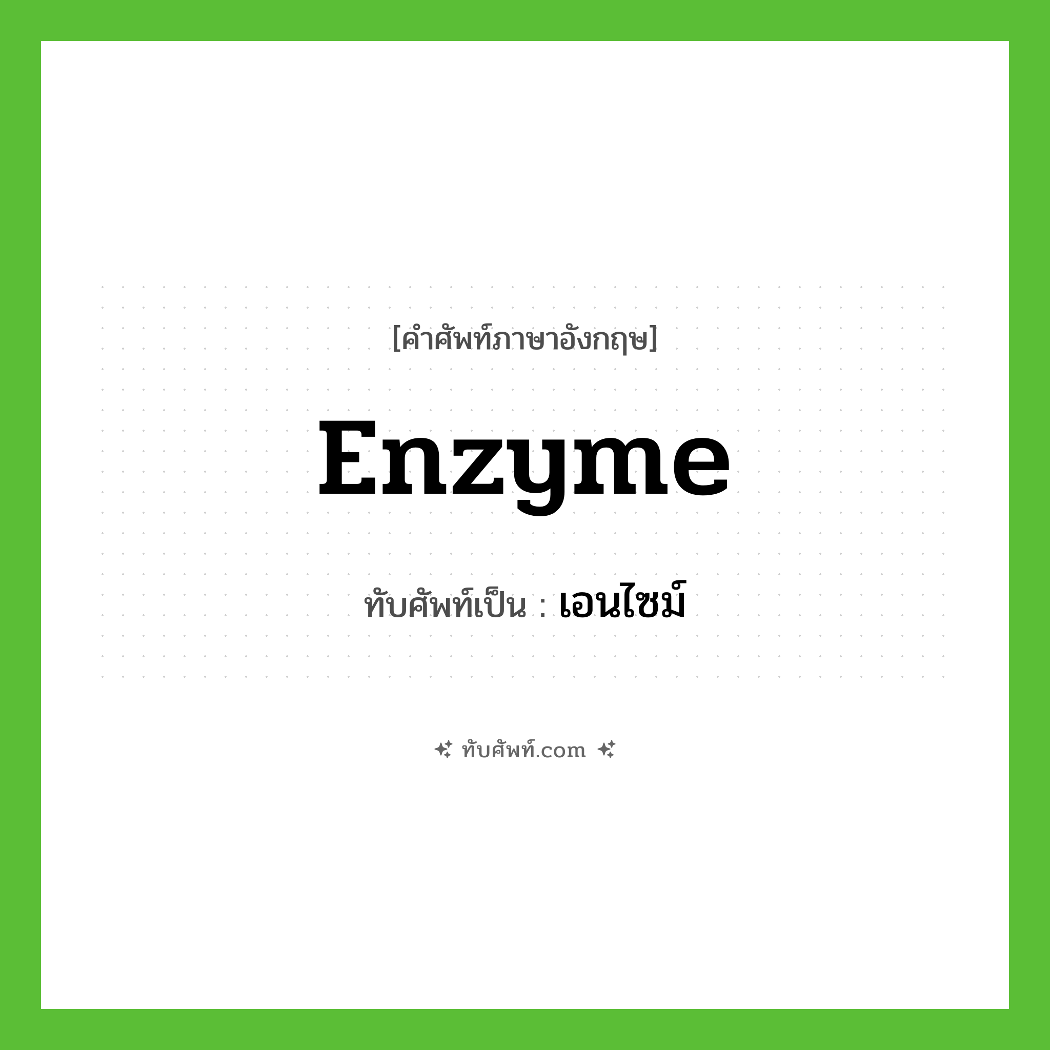 enzyme เขียนเป็นคำไทยว่าอะไร?, คำศัพท์ภาษาอังกฤษ enzyme ทับศัพท์เป็น เอนไซม์
